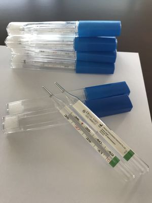 맞춤형 지원 아기/성인 유리 수은 없는 온도 측정기 섭씨 파렌히트
